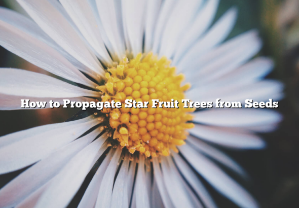 How to Propagate Star Fruit Trees from Seeds