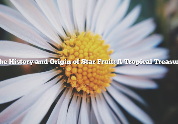 The History and Origin of Star Fruit: A Tropical Treasure