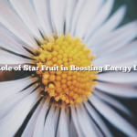 The Role of Star Fruit in Boosting Energy Levels