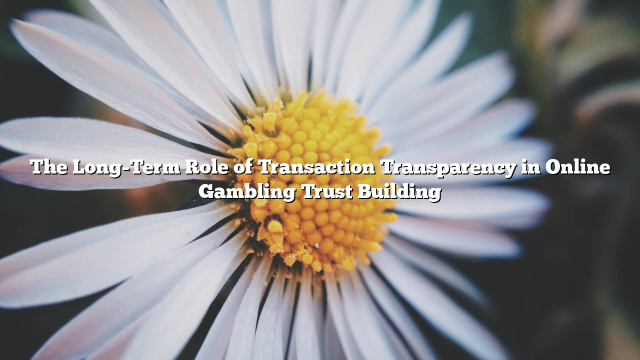 The Long-Term Role of Transaction Transparency in Online Gambling Trust Building