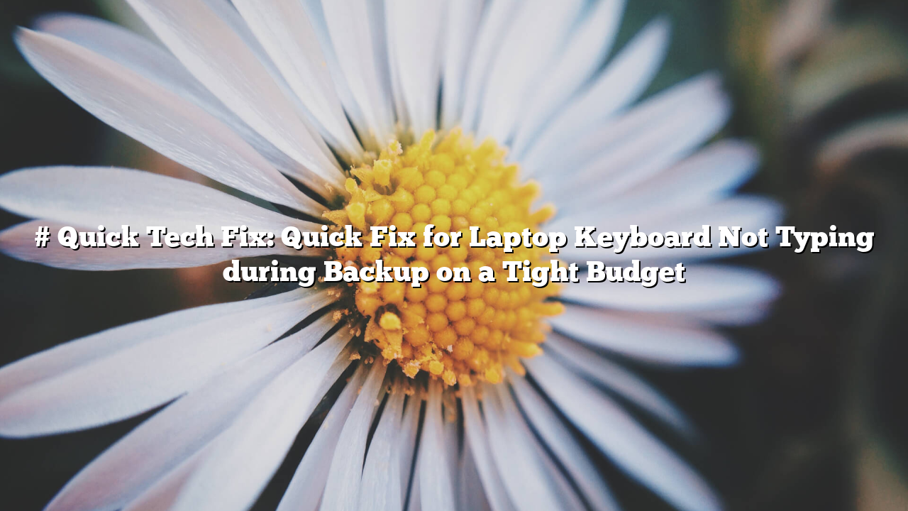 # Quick Tech Fix: Quick Fix for Laptop Keyboard Not Typing during Backup on a Tight Budget